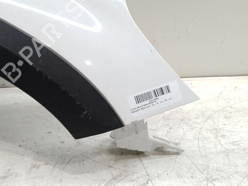 Right front fenders PEUGEOT 2008 II (UD_, US_, UY_, UJ_, UR_, UC_) 1.2 PureTech 130 (USHNS, URHNS) | BP29704294C42 