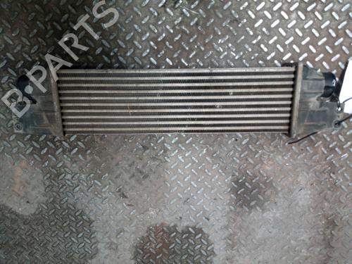 Intercooler SSANGYONG REXTON / REXTON II (GAB_)  | BP13251387M30 