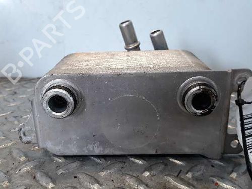 Oil radiator BMW 5 (E60)  | BP14235893M33 