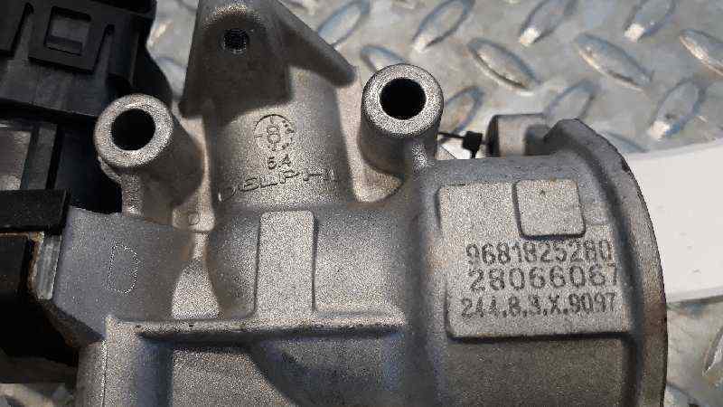 Egr ford focus