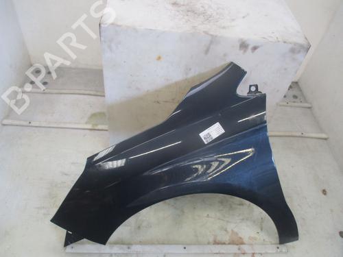left-front-fenders-citroen-c4-ii-nc_-2009-37648408 main image