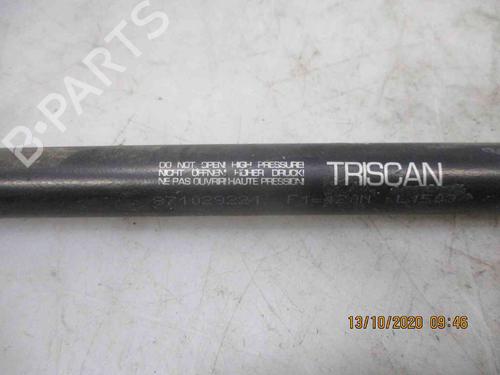 Tailgate lift support AUDI A4 B5 Avant (8D5)  | BP19735527C138 