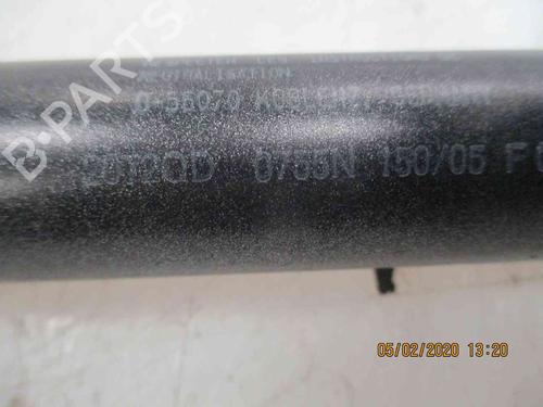 Tailgate lift support MERCEDES-BENZ VITO / MIXTO Van (W639) 115 CDI (639.601, 639.603, 639.605) | BP24007903C138 