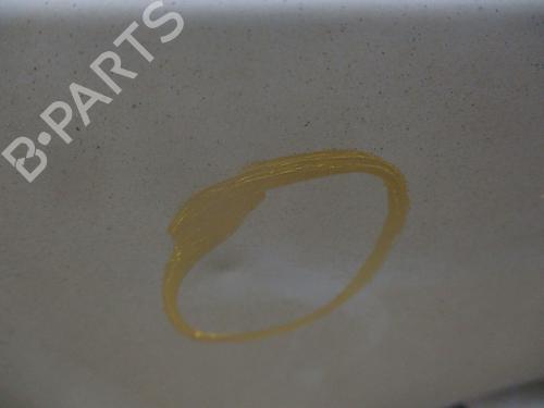 Left tailgate RENAULT KANGOO Express (FW0/1_) 1.5 dCi 75 (FW07, FW10, FW04) | BP29901056C76