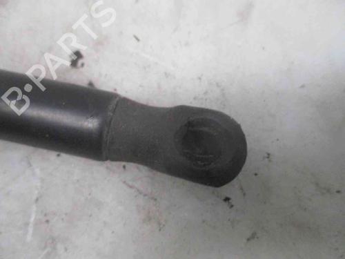 Tailgate lift support JAGUAR XJ (X350, X358) 3.0 | BP20201855C138 