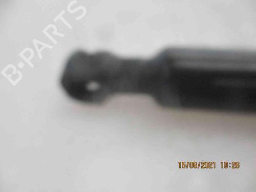 Tailgate lift support RENAULT ZOE (BFM_) ZOE | BP19735123C138