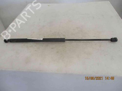 Used Tailgate lift support RENAULT SCÉNIC II (JM0/1_) 2.0 (JM05, JM0U, JM1N, JM1U, JM2V) (135 hp) 19735142
