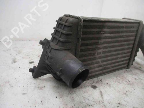 Ladeluftkühler FIAT STILO (192_) 1.2 16V (192_XA1B) | BP20201412M30 