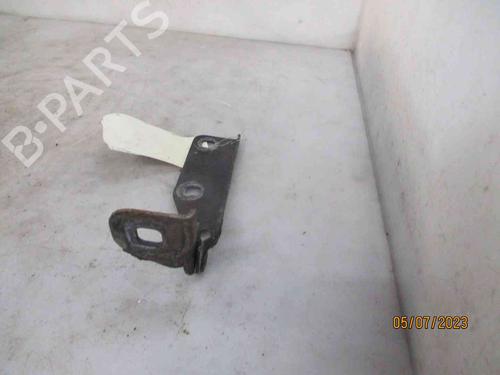 Hinge/Door check strap RENAULT TWINGO I (C06_) 1.2 16V (C06C, C06D, C06K) | BP26629638C146 