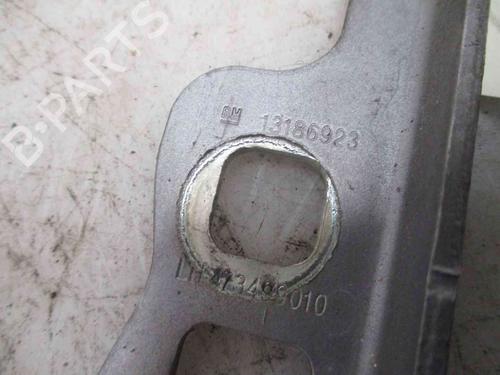 Hinge/Door check strap OPEL CORSA D (S07) 1.0 (L08, L68) | BP19717551C146 