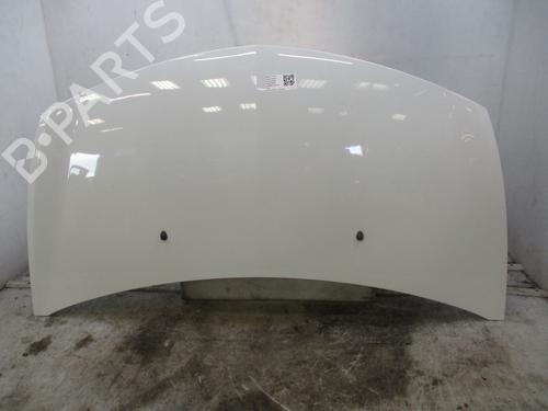 Used Hood RENAULT CLIO III (BR0/1, CR0/1) 1.5 dCi (75 hp) 27921078
