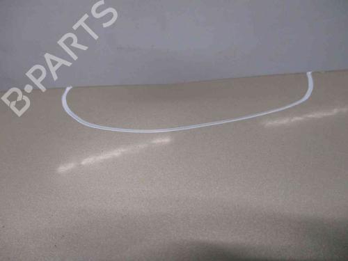 Tailgate VW PASSAT B5.5 (3B3) 1.6 | BP19721056C6 