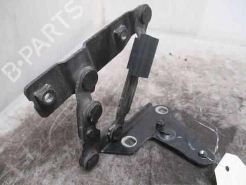 Hinge/Door check strap SEAT ALTEA (5P1)  | BP19717675C146 