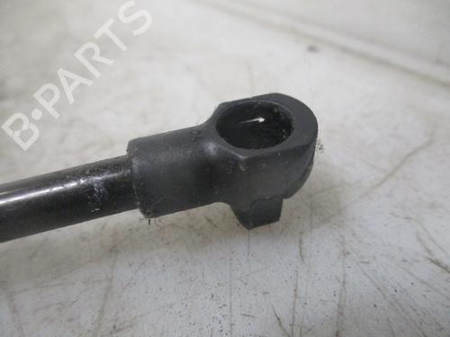 Tailgate lift support CITROËN C1 (PM_, PN_) 1.4 HDi | BP26639135C138 
