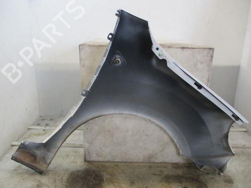 Left front fenders RENAULT KANGOO / GRAND KANGOO II (KW0/1_) 1.5 dCi 90 (KW05, KW08, KW0G, KW11) | BP26175917C41 