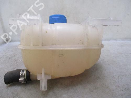 Expansion tank FIAT DOBLO Cargo (263_)  | BP26638402C120