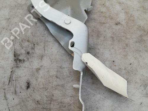 Hinge/Door check strap RENAULT ZOE (BFM_) ZOE | BP35885546C146 - Image 4