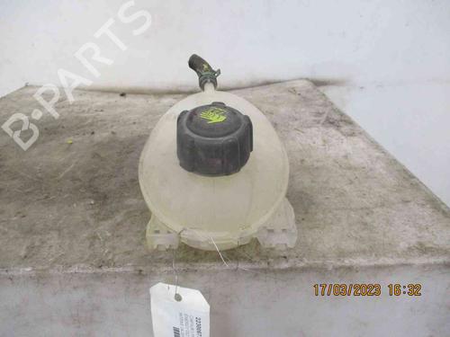 Expansion tank RENAULT CAPTUR I (J5_, H5_) 1.5 dCi 90 (J5N4, J5M5, J5MW, J5M6, J5AL, J5AJ) | BP26629695C120 