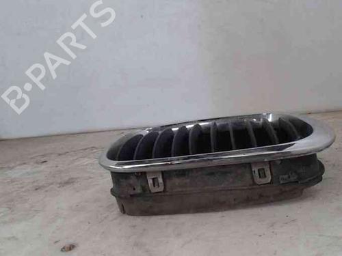 Grille BMW 3 (E46)  | BP21833534C40 