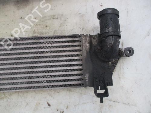 Intercooler NISSAN QASHQAI / QASHQAI +2 I (J10, NJ10, JJ10E) 2.0 dCi | BP24971358M30 