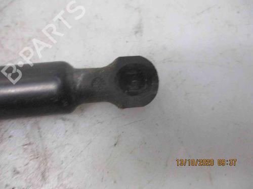 Tailgate lift support DACIA SANDERO II 1.2 | BP20204463C138 