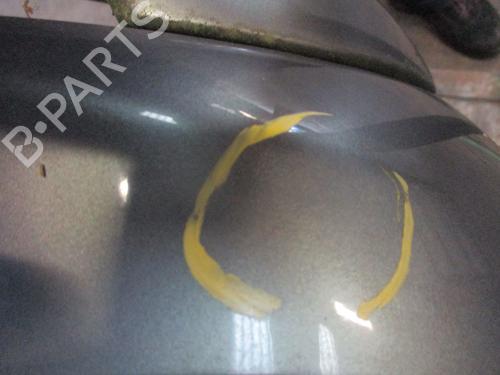 Tailgate RENAULT MEGANE I (BA0/1_) 1.8 16V (BA06, BA12, BA1A, BA1M, BA1R) | BP29871453C6