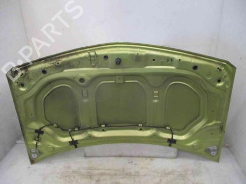 Hood RENAULT MEGANE II (BM0/1_, CM0/1_) 1.4 16V (BM0B, CM0B) | BP19722710C1 