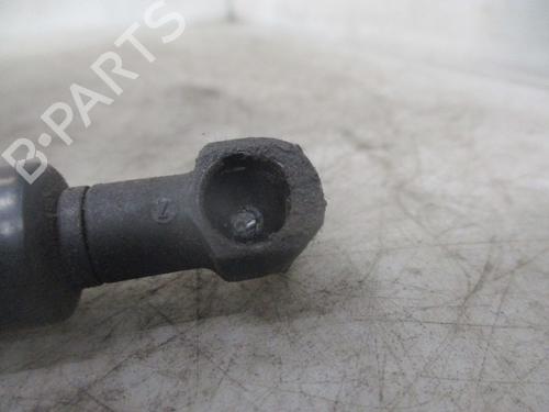 Hood lift support BMW 3 (E46) 318 d | BP24121967C139