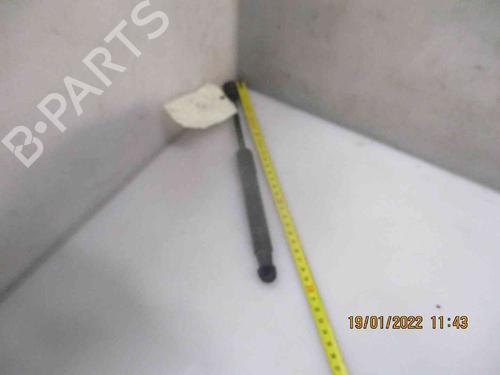 Used Hood lift support RENAULT SCÉNIC III (JZ0/1_) 1.9 dCi (JZ0J, JZ1J, JZ1K, JZ1S) (131 hp) 19736992