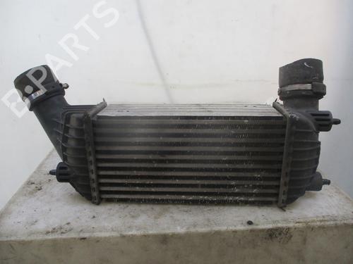 Intercooler CITROËN JUMPY II Van 2.0 HDi 120 | BP29467745M30 