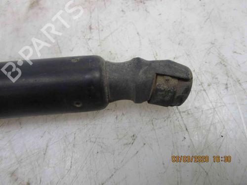 Tailgate lift support RENAULT MEGANE II Estate (KM0/1_) 1.5 dCi (KM16, KM1E) | BP20508890C138 