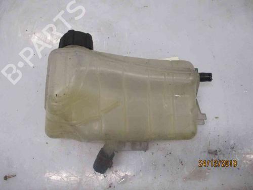 Used Expansion tank RENAULT KANGOO Express (FW0/1_) [2008-2025]  19717150
