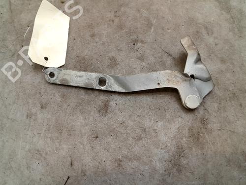Hinge/Door check strap LAND ROVER FREELANDER I (L314) 2.0 Td4 4x4 | BP24013683C146 