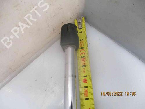 Tailgate lift support HYUNDAI TRAJET (FO) 2.0 CRDi | BP19737032C138 