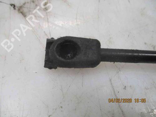 Hood lift support HYUNDAI SANTA FÉ I (SM) 2.0 CRDi | BP19719808C139 