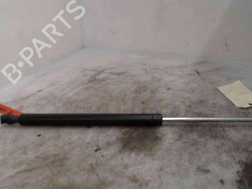 Used Tailgate lift support RENAULT TWINGO I (C06_) 1.2 (C066, C068) (58 hp) 19734701