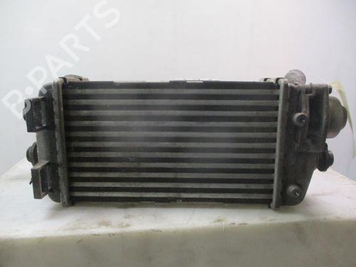 Used Intercooler HYUNDAI i20 II (GB, IB) 1.0 T-GDI (101 hp) 32037031