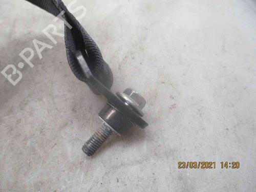 Rear left belt tensioner FIAT 500 (312_) 1.2 (312AXA1A) | BP26622426C89 