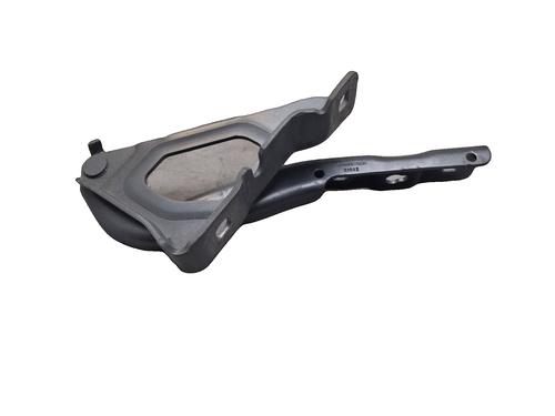Used Hinge/Door check strap Hinge/Door check strap RENAULT CLIO V (B7_) 1.0 TCe 90 (B7MT) (91 hp) 40161488 40161488
