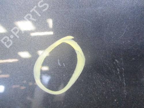 Right front door RENAULT SCÉNIC III (JZ0/1_) 1.9 dCi (JZ0J, JZ1J, JZ1K, JZ1S) | BP28828227C3 