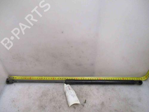 Used Tailgate lift support FORD FIESTA VI (CB1, CCN) 1.0 (65 hp) 20508834