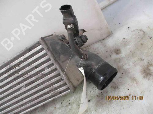 Intercooler PEUGEOT 807 (EB_) 2.2 HDi | BP26624619M30 