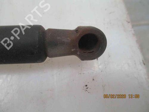 Tailgate lift support BMW 3 Compact (E46)  | BP24009616C138 