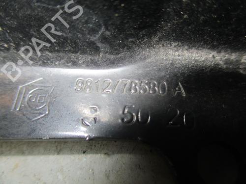 Hinge/Door check strap CITROËN C3 / C3 ORIGIN III (SX) 1.6 BlueHDi 75 | BP24972235C146 