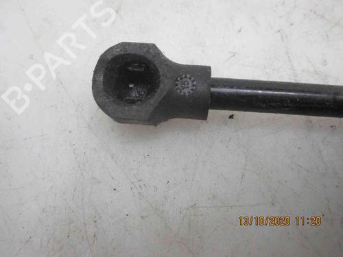 Tailgate lift support DACIA SANDERO II 1.2 | BP20204468C138 