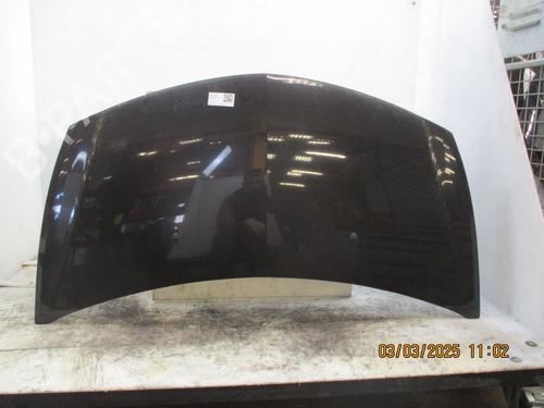 Used Hood RENAULT CLIO III (BR0/1, CR0/1) 1.2 16V (BR02, BR0J, BR11, CR02, CR0J, CR11) (75 hp) 26638354