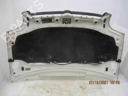 Hood FIAT DOBLO Box Body/MPV (223_)  | BP24008856C1 