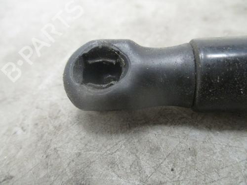 Hood lift support BMW 1 (F20) 118 d | BP24187500C139 