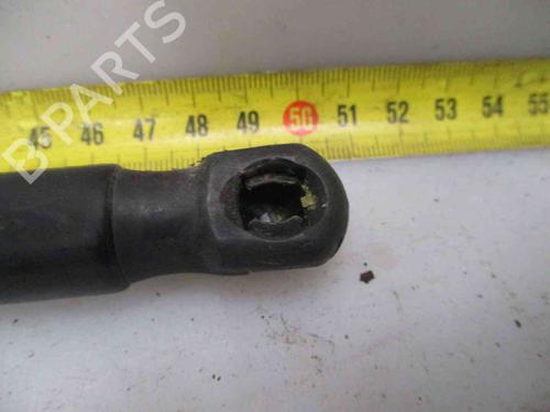 Tailgate lift support RENAULT MEGANE III Grandtour (KZ0/1) 1.5 dCi (KZ0C, KZ1A) | BP19734672C138