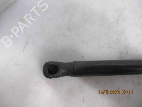 Hood lift support BMW 1 (F21)  | BP26620425C139 